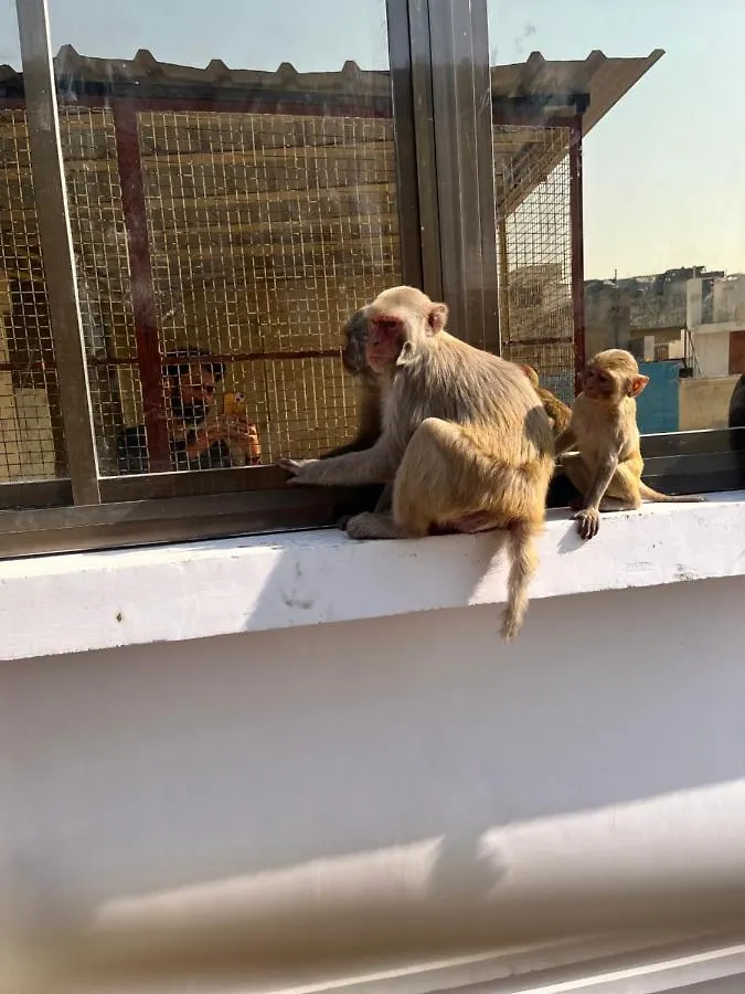 Yogi Soul Hotel Varanasi